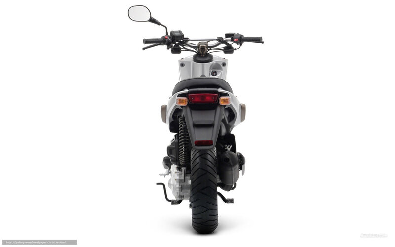 Rear View of a Scooter — White