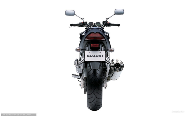 rear view of a suzuki motorcycle