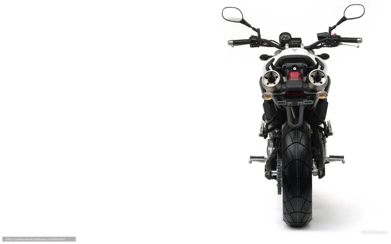 rear view of a white motorcycle