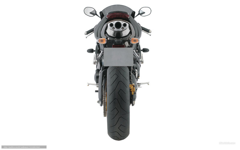 Rear View of Black Motorcycle — Neutral, Photograph, Exhaust Pipes, Tail Light