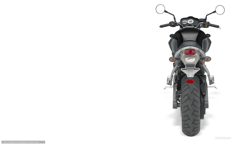 Rear View of Black Motorcycle — Neutral