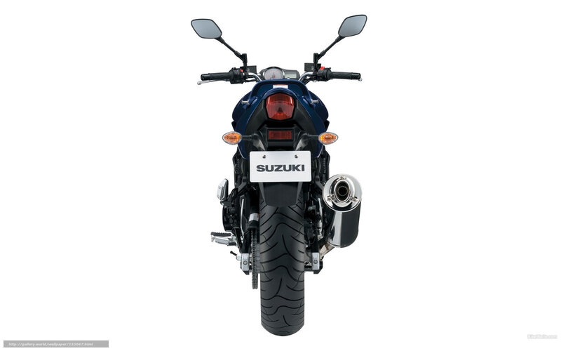 rear view of blue Suzuki motorcycle