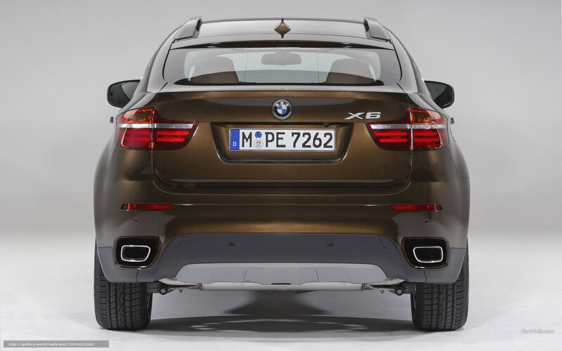 rear view of brown BMW X6