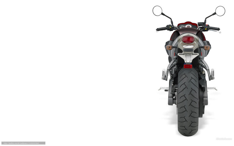 Rear View of Motorcycle — Black, Neutral, Photograph, Handlebars, Mirrors