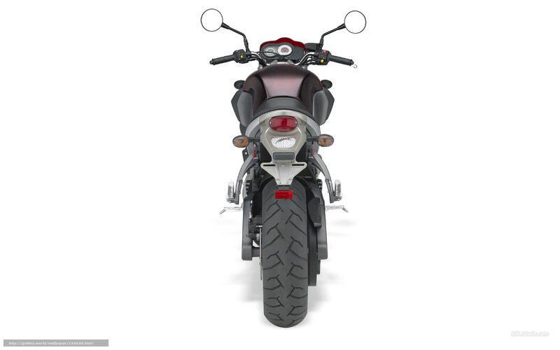 Rear View of Motorcycle — Black, Neutral, Photograph, Handlebars, Taillight