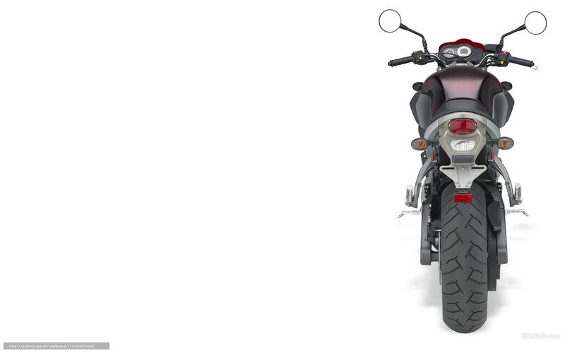 Rear View of Motorcycle — Black, Neutral, Photograph, Taillight