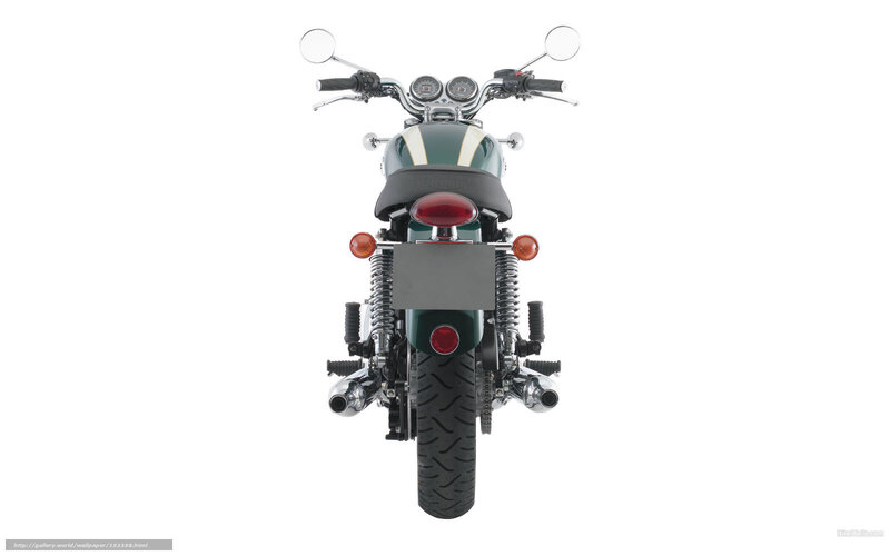 Rear View of Motorcycle — Green