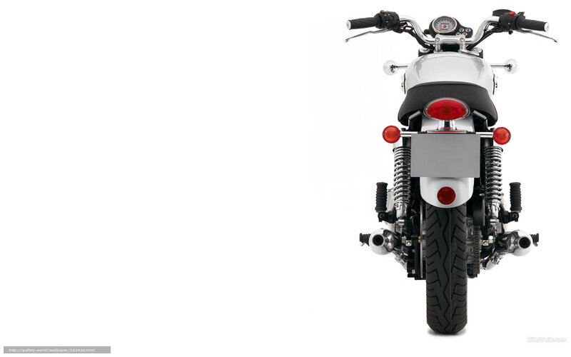 Rear View of Motorcycle — White, Neutral, Photograph, Handlebars, Seat