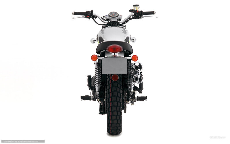 Rear View of Motorcycle — White, Neutral, Photograph, Handlebars, Taillight, Exhaust