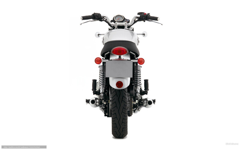 Rear View of Motorcycle — White, Neutral, Photograph, Handlebars, Taillight