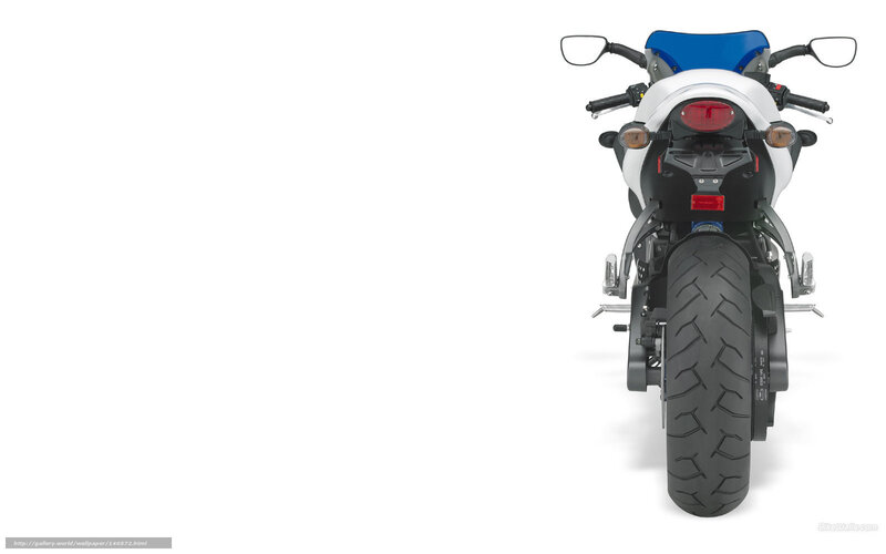 Rear View of Motorcycle — White, Neutral