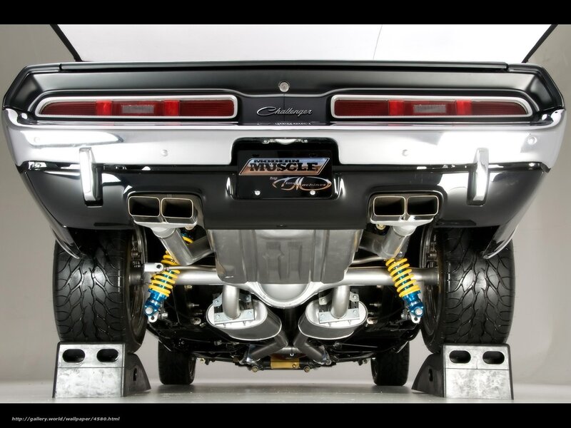 rear view of muscle car