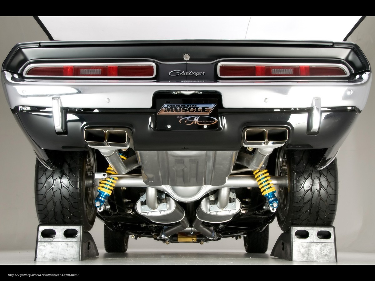 rear view of muscle car