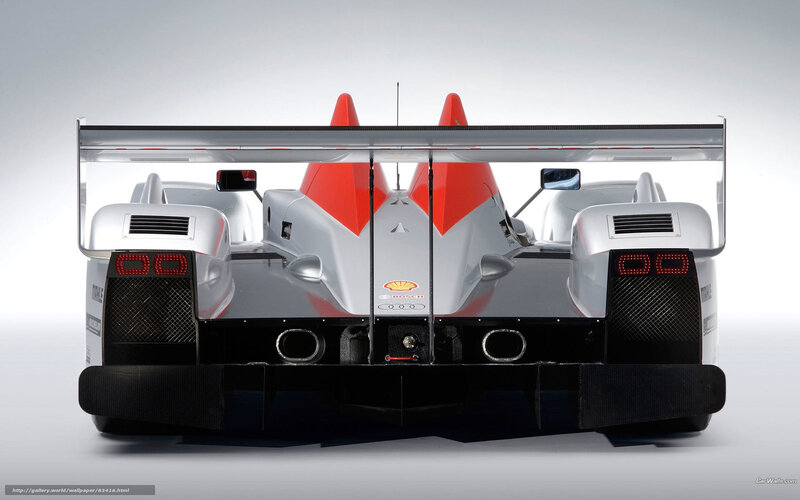 rear view of race car