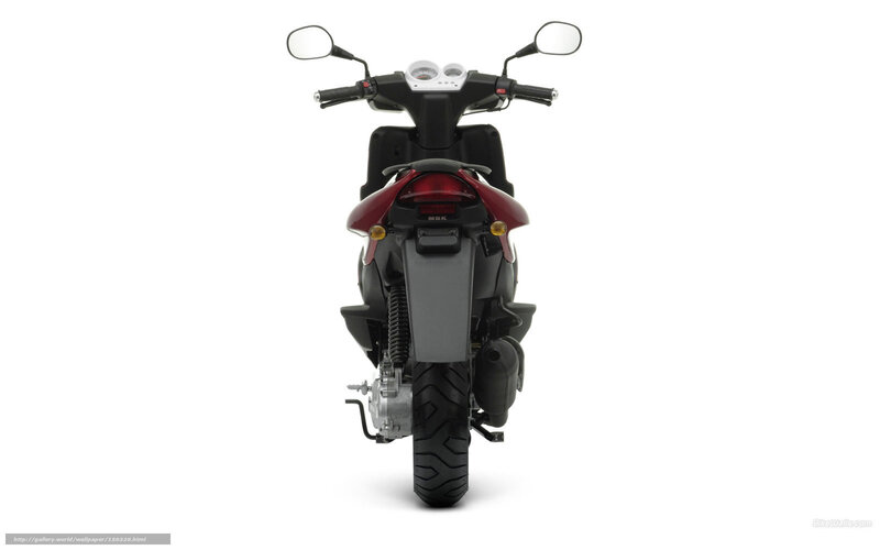 Rear View of Scooter — Black, Neutral, Photograph, Mirror