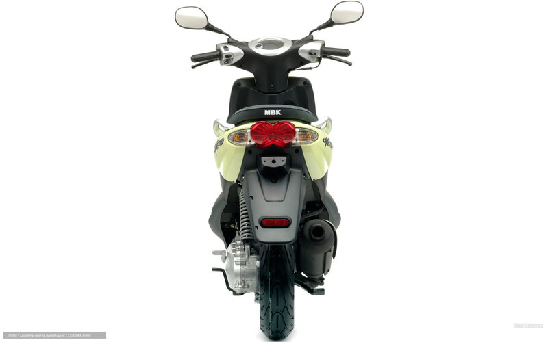Rear View of Scooter — Black, Neutral, Photograph