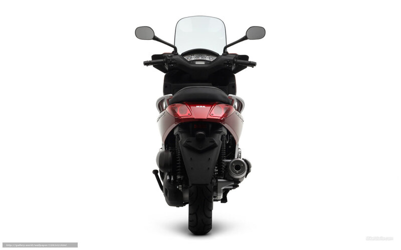 Rear View of Scooter — Black