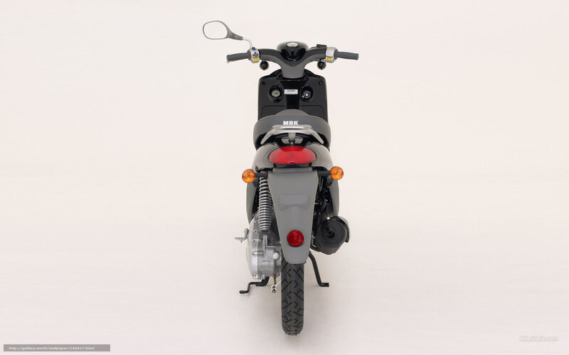 Rear View of Scooter — Gray