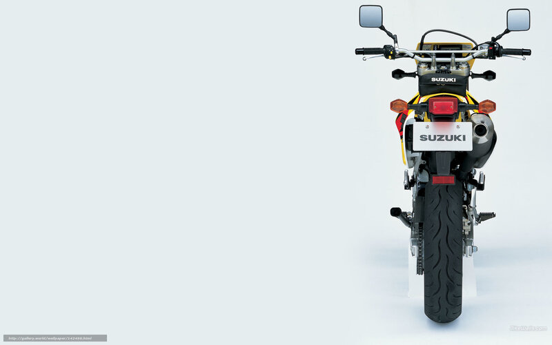 Rear View of Suzuki Motorcycle
