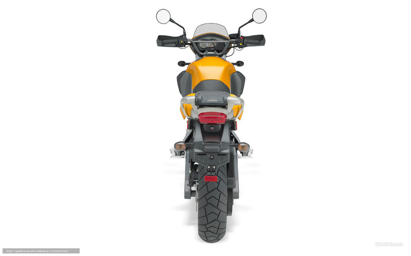 rear view of yellow motorcycle