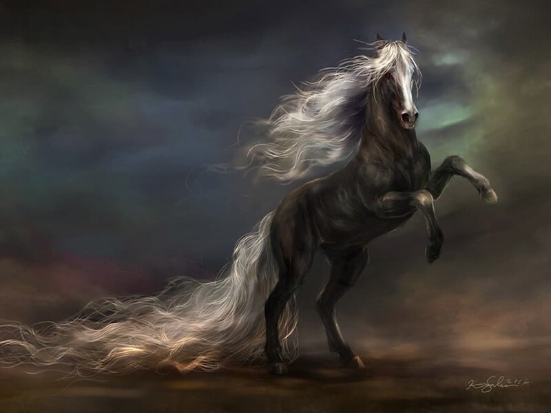 rearing black horse with white mane