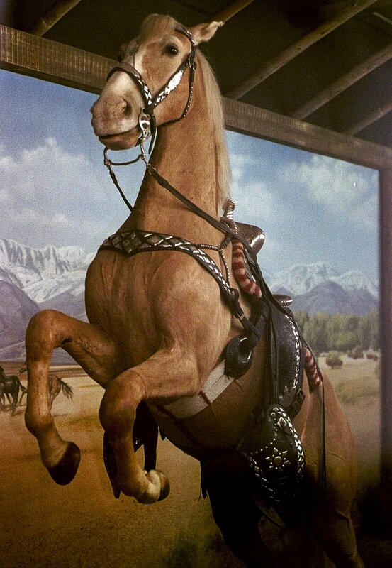 rearing horse display
