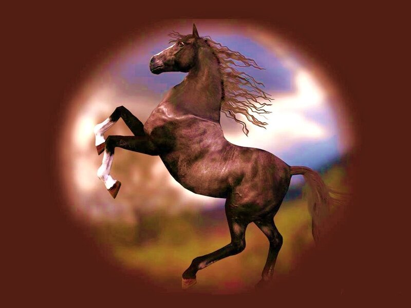 rearing horse in spotlight