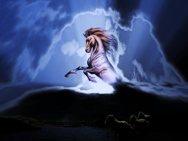 rearing horse in storm