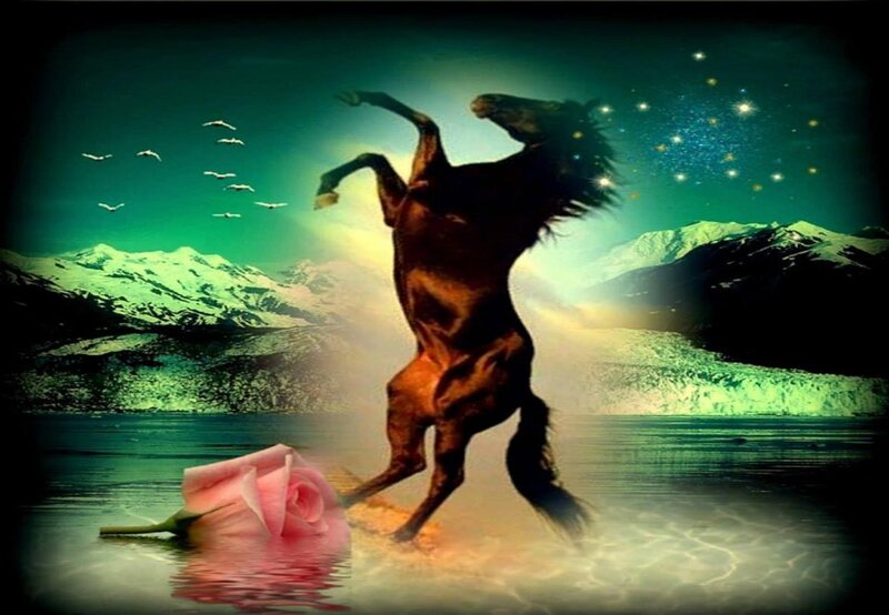 Rearing Horse in Water