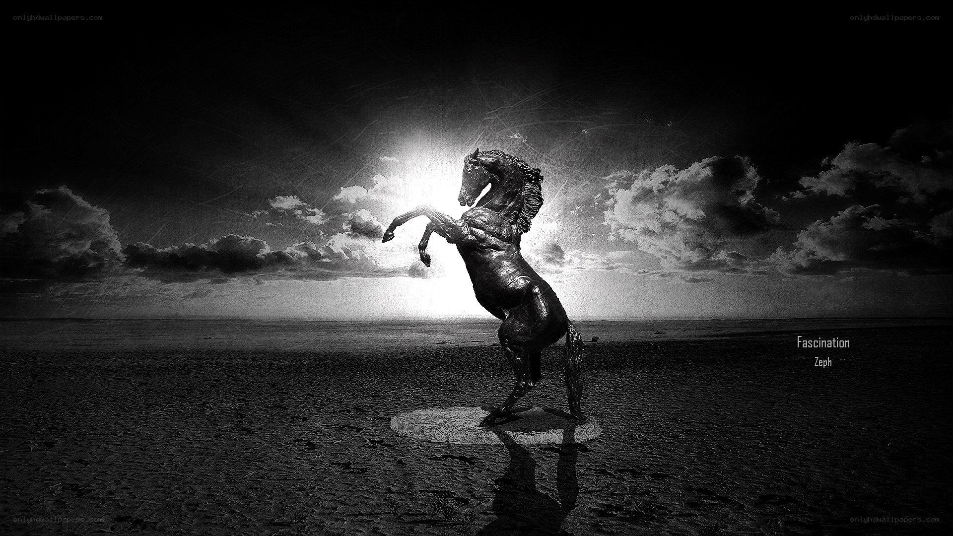 Rearing horse sculpture at sunset