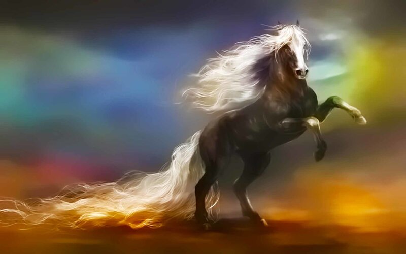 rearing horse with flowing mane