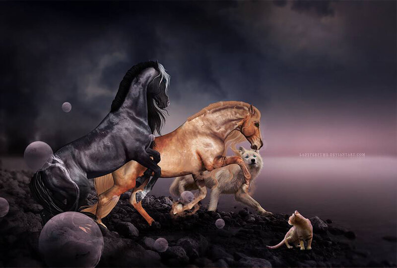 Rearing Horses and Animals