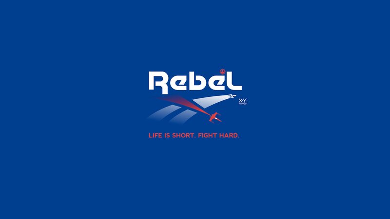Rebel Logo with X-wing