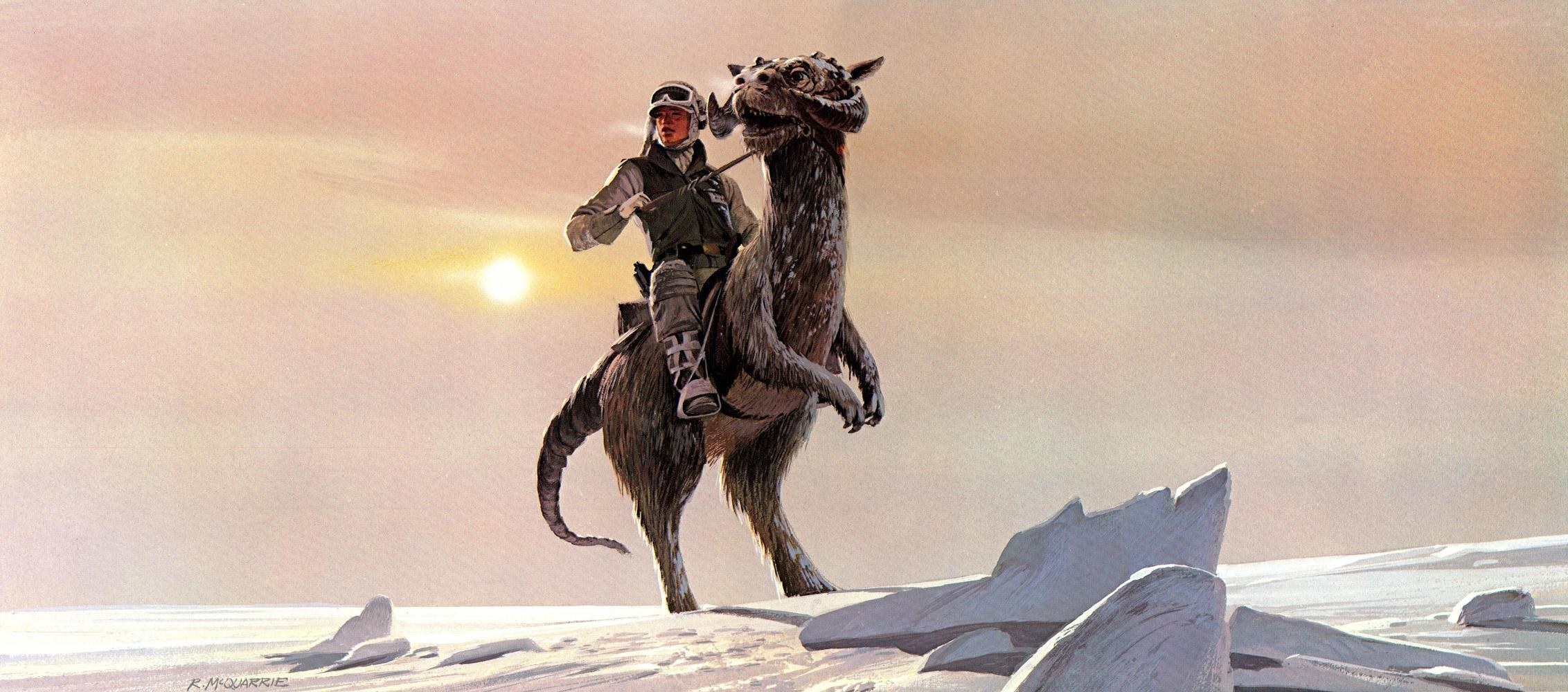 Rebel soldier on a bantha