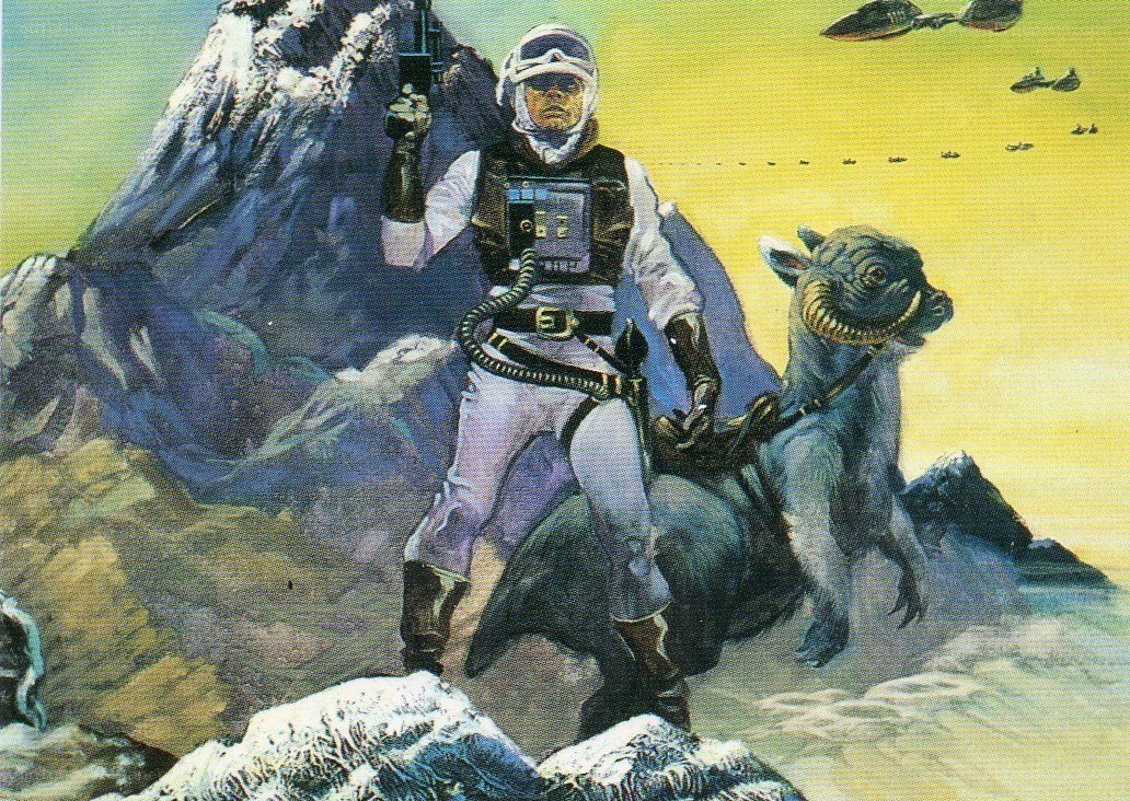 Rebel soldier on a tauntaun