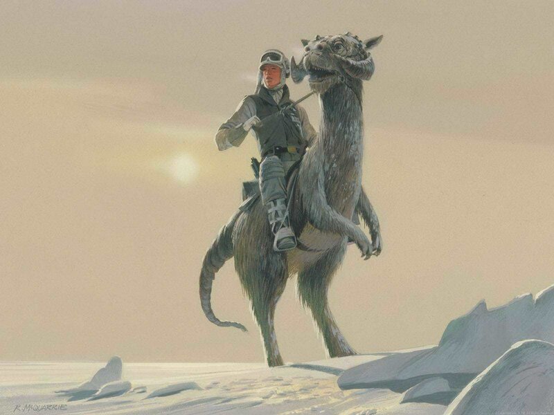 Rebel soldier on tauntaun