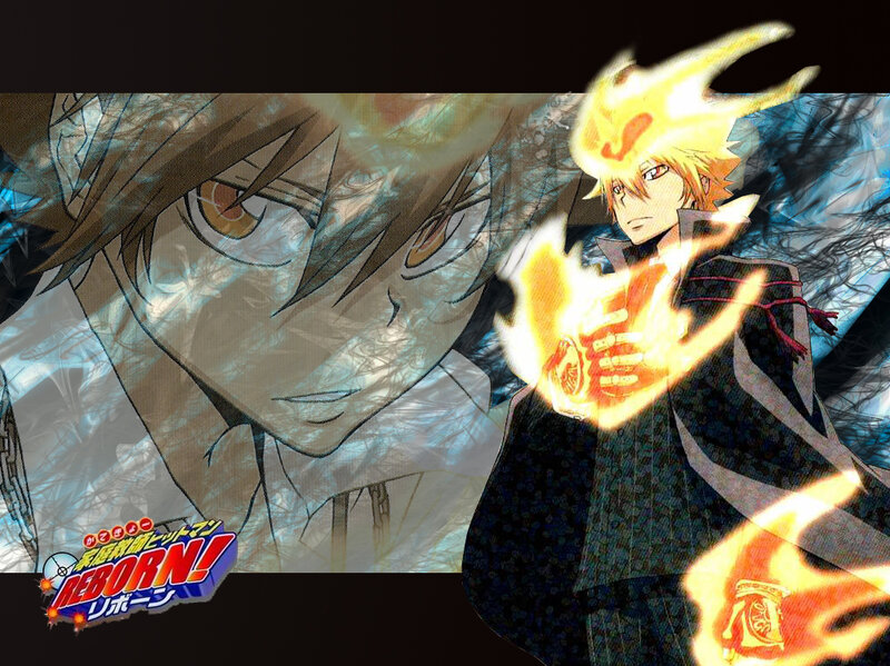 Reborn anime character artwork