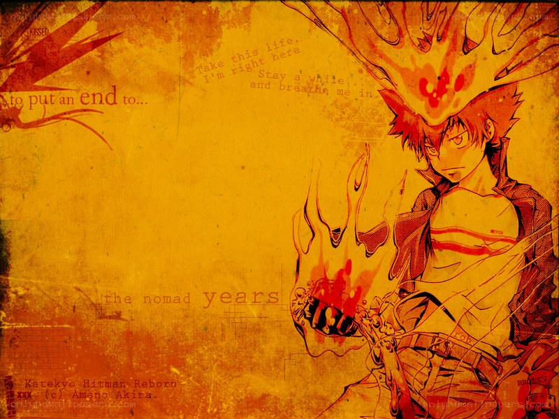 Reborn anime character artwork