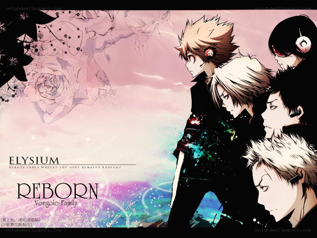 Reborn anime group art
