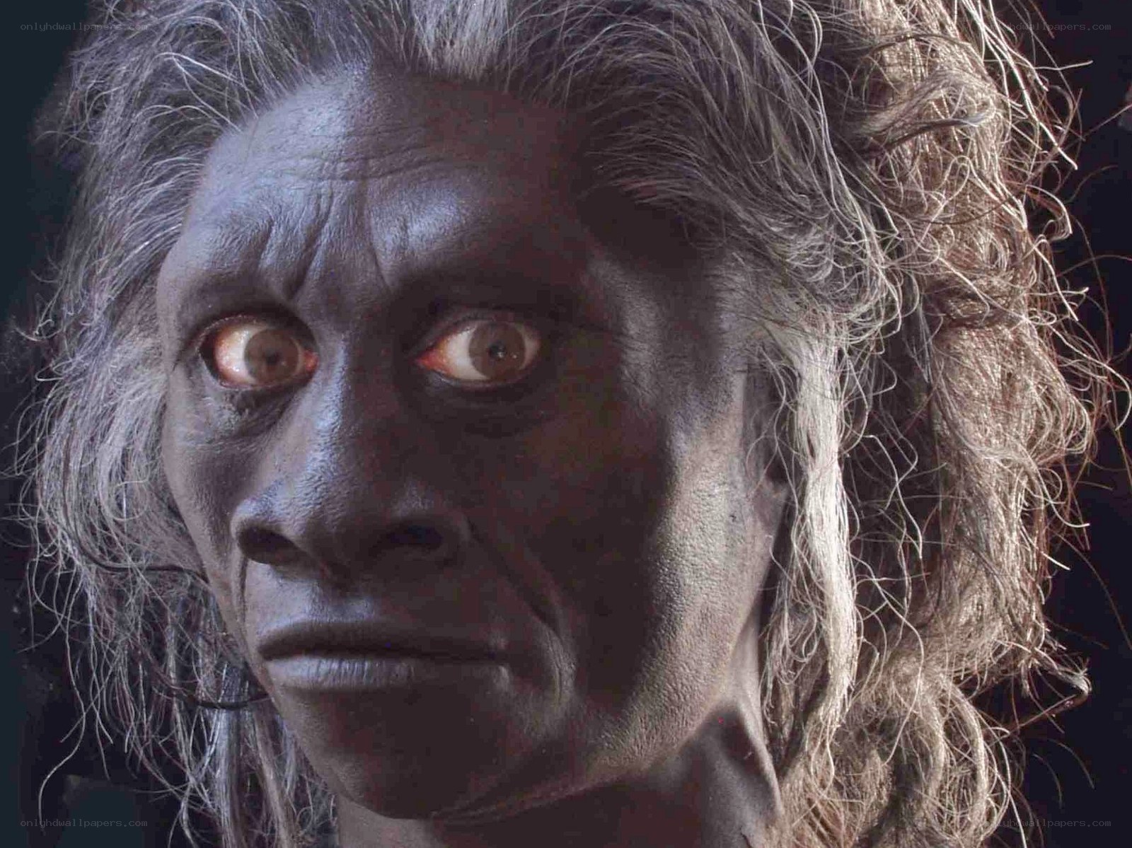 reconstructed hominin face
