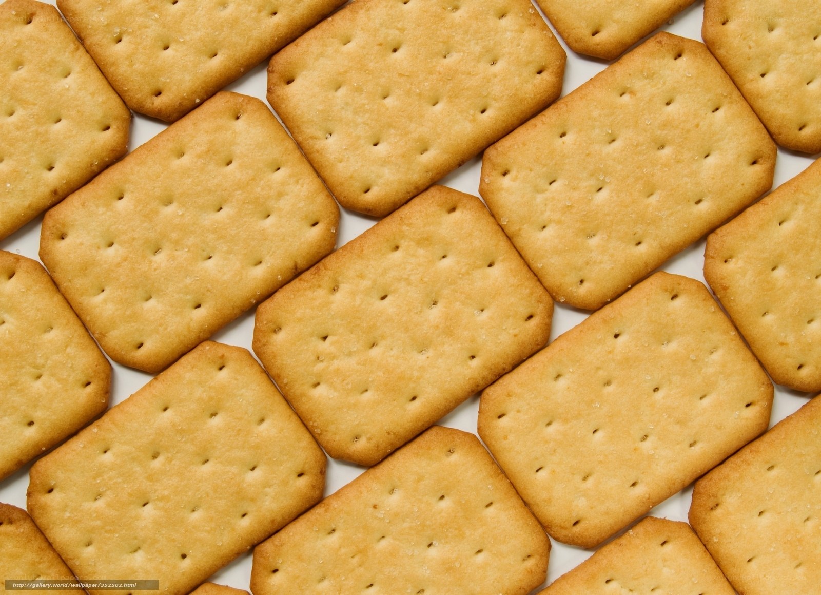 Rectangular crackers on white surface
