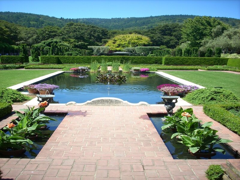 Rectangular Pond in Garden