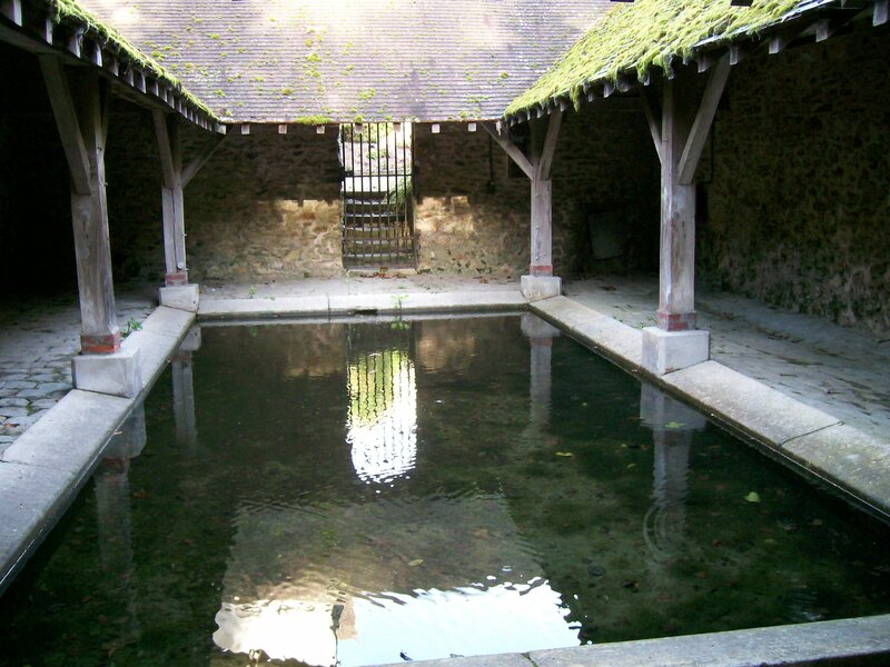 Rectangular Water Pool