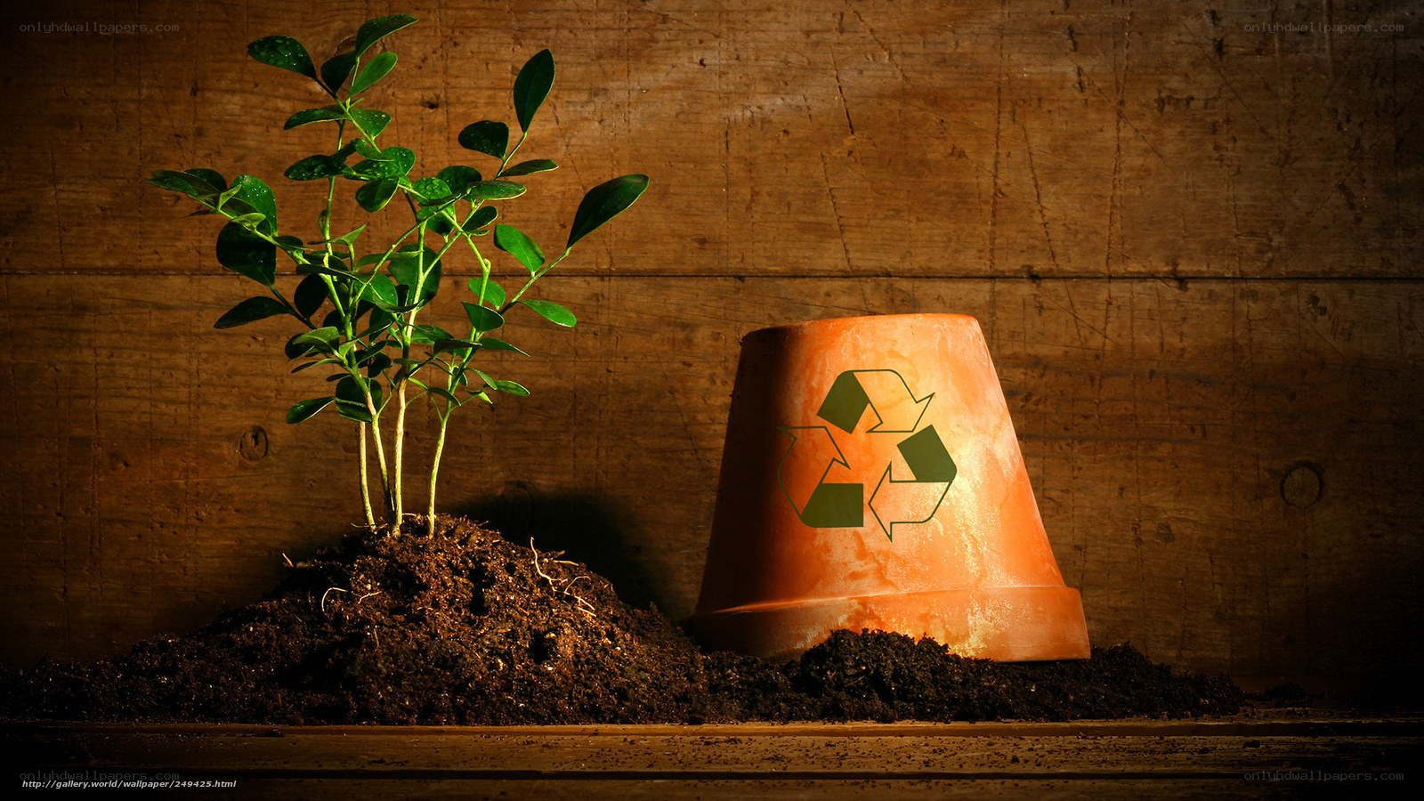 Recycling and plant growth