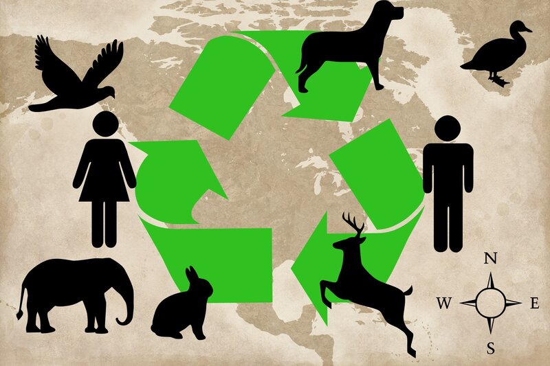 Recycling Symbol with Animals