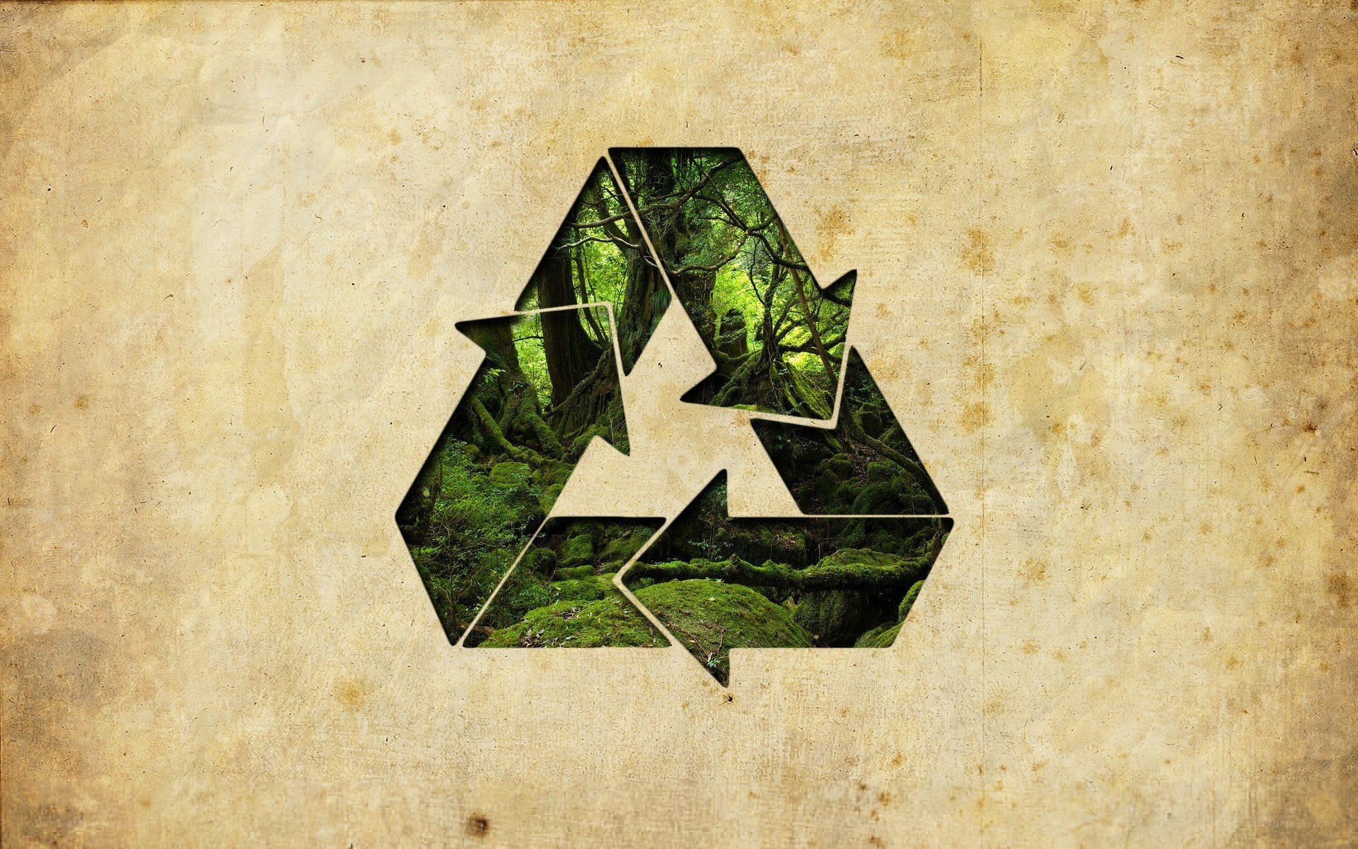Recycling symbol with forest