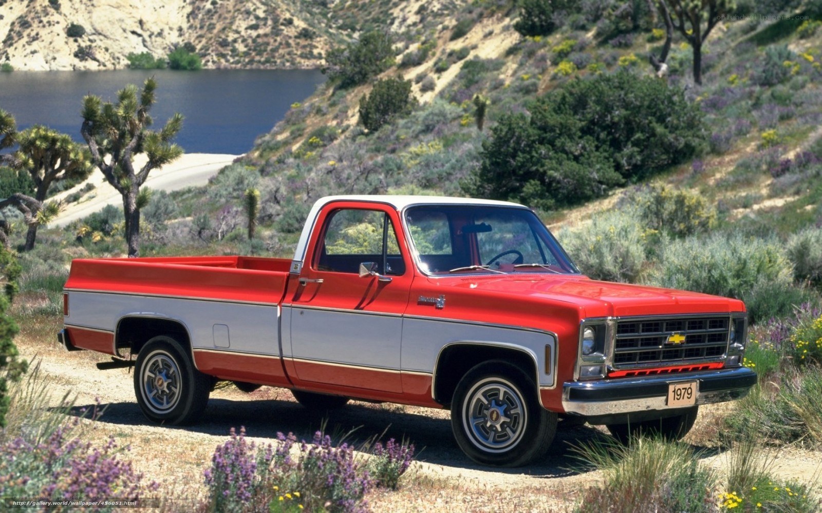 Red 1979 Chevrolet truck