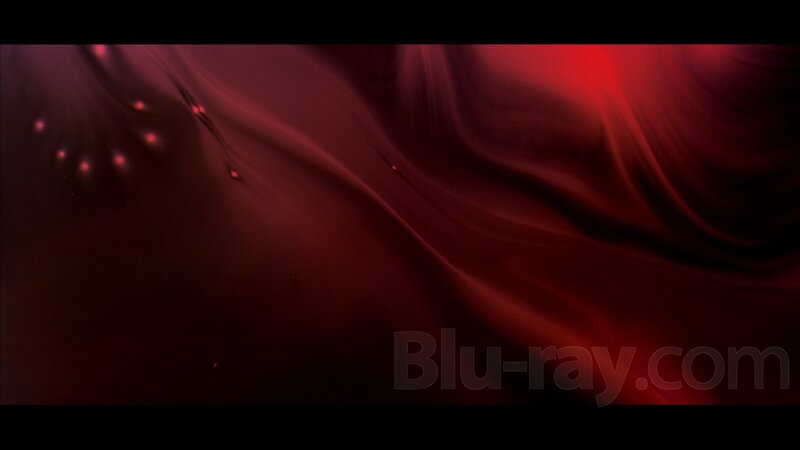 Red Abstract Fabric