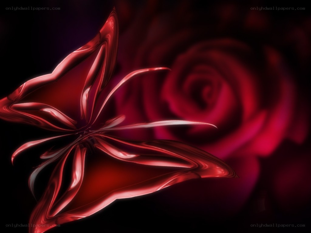 Red abstract flower art