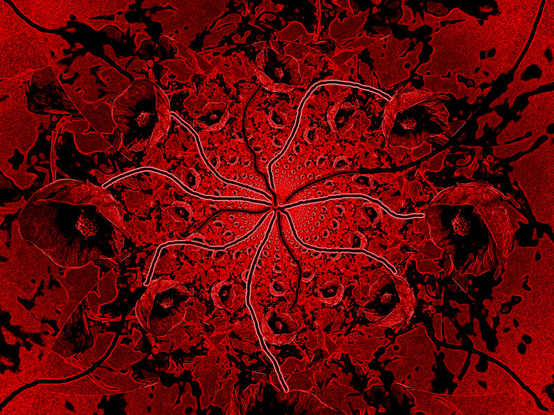 Red Abstract Fractal Pattern — Intense